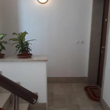 Holiday Guesthouse Marghera