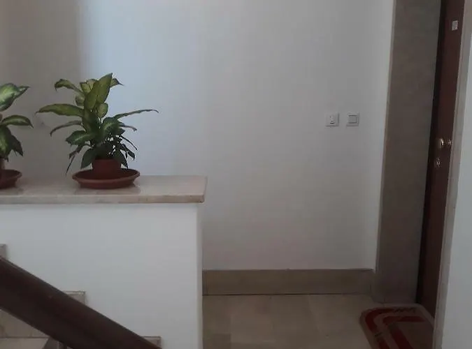 Holiday Guesthouse Marghera